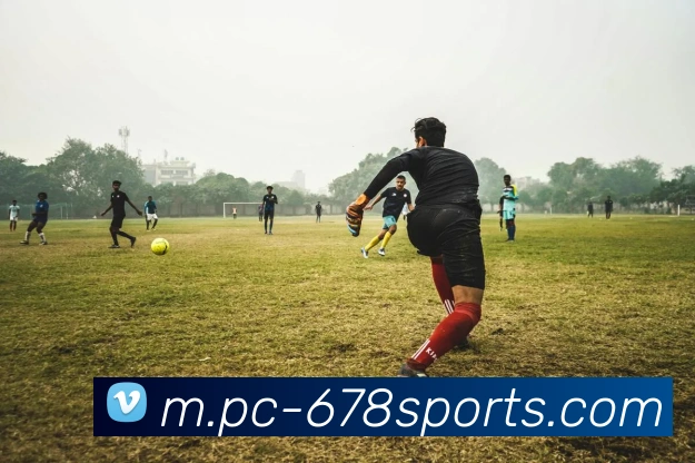 多彩内容专区