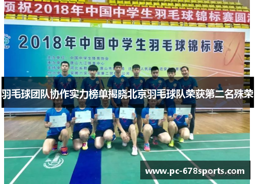 羽毛球团队协作实力榜单揭晓北京羽毛球队荣获第二名殊荣